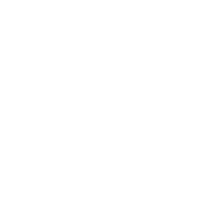 IT & Computing